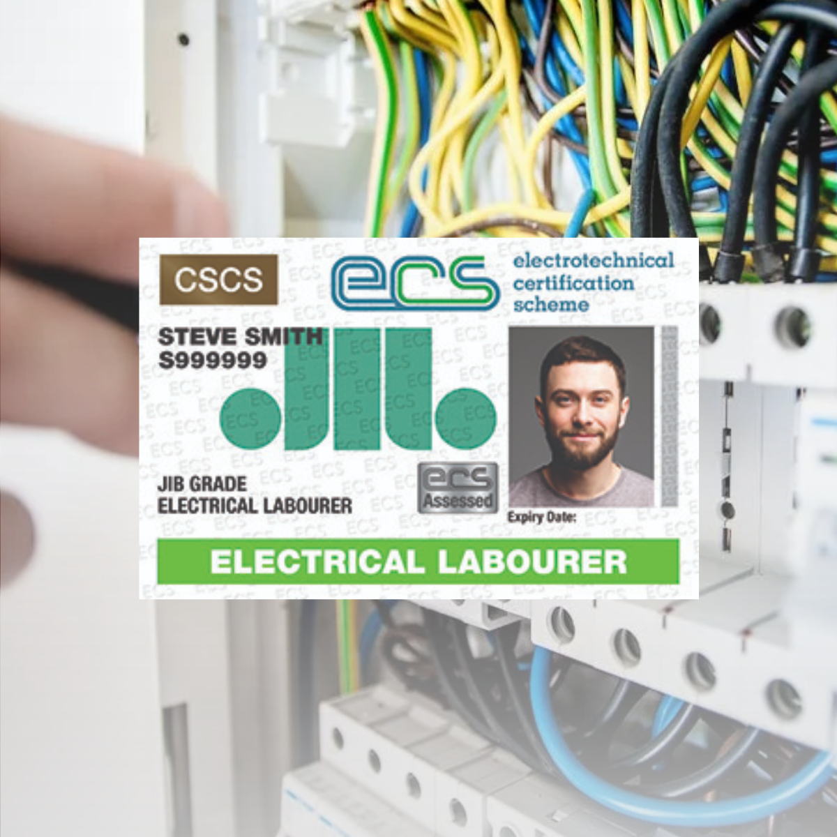 ECS Labourer Card